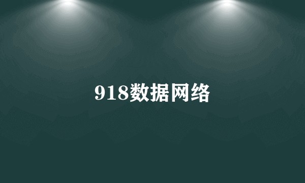 918数据网络