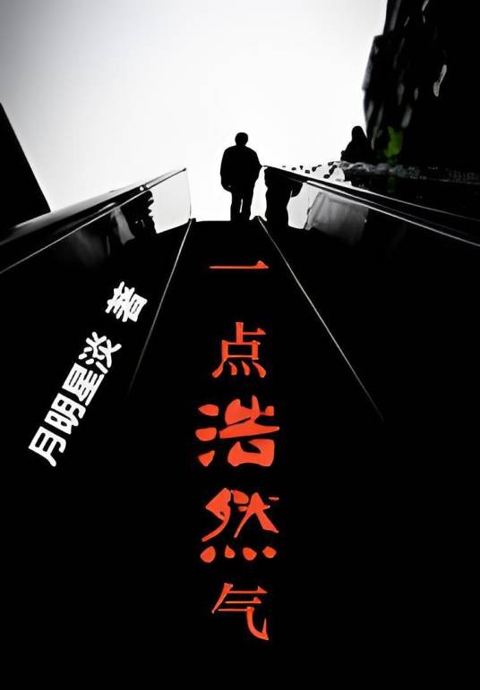 一点浩然气（月明星淡著网络小说）