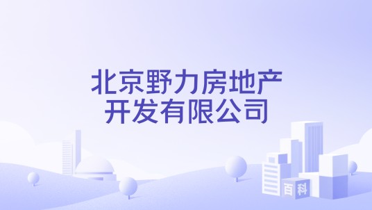 北京野力房地产开发有限公司
