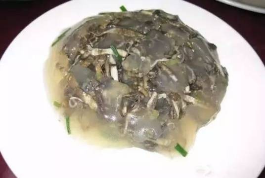 土丁冻