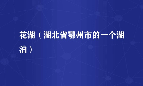 花湖（湖北省鄂州市的一个湖泊）