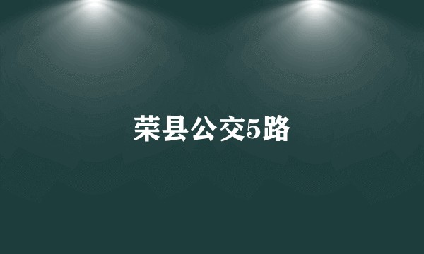 荣县公交5路