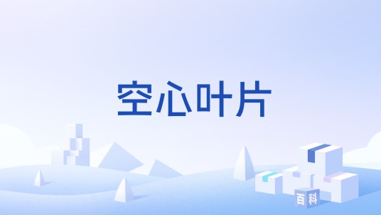 空心叶片