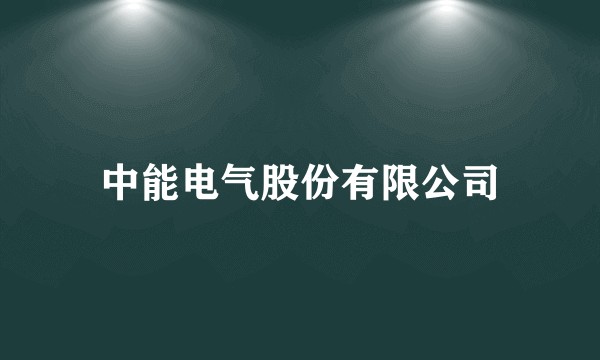 中能电气股份有限公司