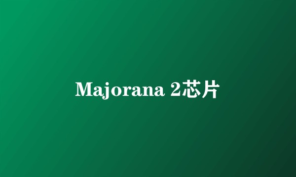 Majorana 2芯片