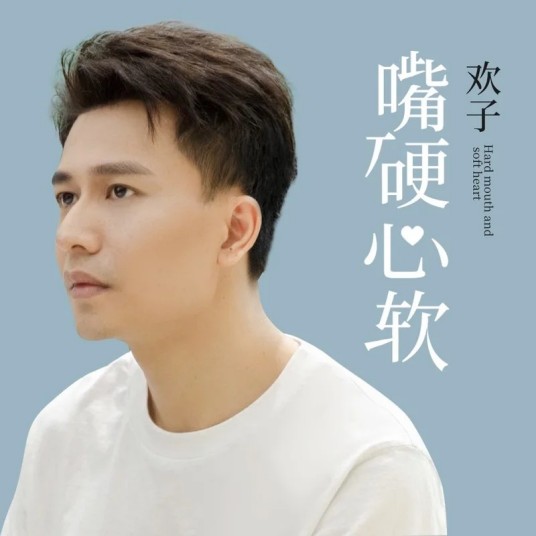 嘴硬心软（欢子演唱歌曲）
