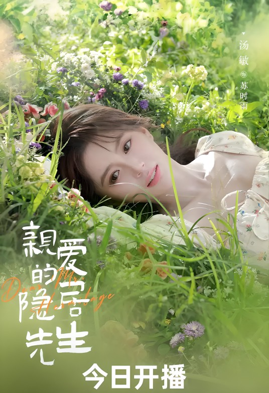 苏时雨（电视剧《亲爱的隐居先生》中的女主角）
