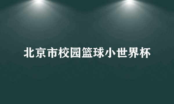 北京市校园篮球小世界杯