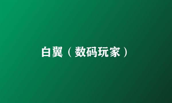 白翼（数码玩家）