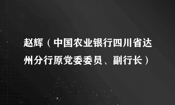 赵辉（中国农业银行四川省达州分行原党委委员、副行长）