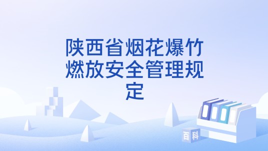 陕西省烟花爆竹燃放安全管理规定
