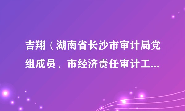 吉翔（湖南省长沙市审计局党组成员、市经济责任审计工作联席会议办公室专职副主任）