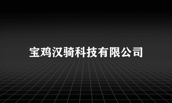 宝鸡汉骑科技有限公司