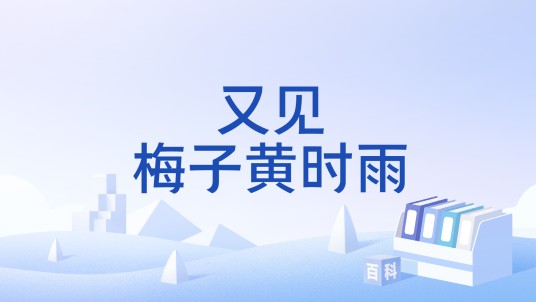 又见梅子黄时雨(王兵等制作的微视频)