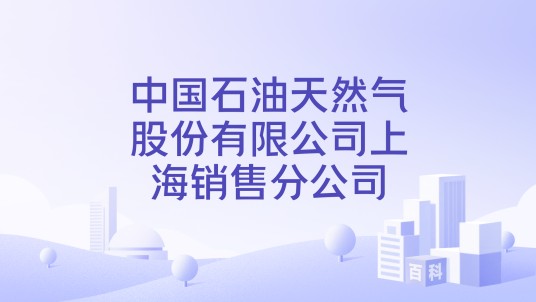 中国石油天然气股份有限公司上海销售分公司