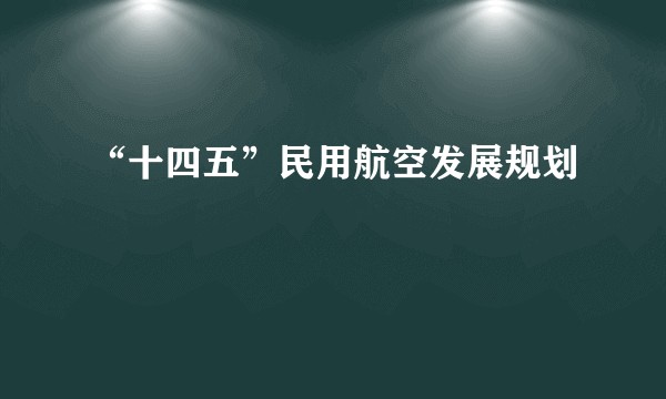 “十四五”民用航空发展规划