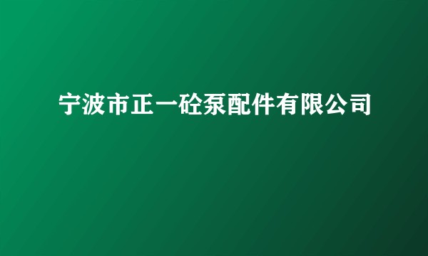 宁波市正一砼泵配件有限公司
