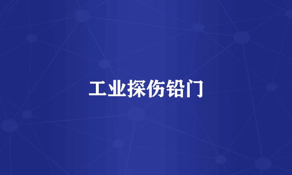 工业探伤铅门