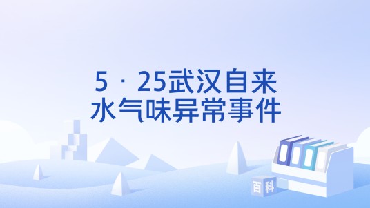 5·25武汉自来水气味异常事件