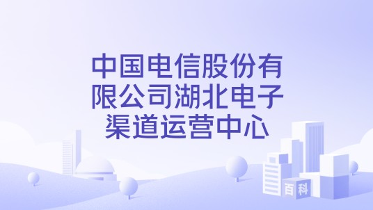 中国电信股份有限公司湖北电子渠道运营中心