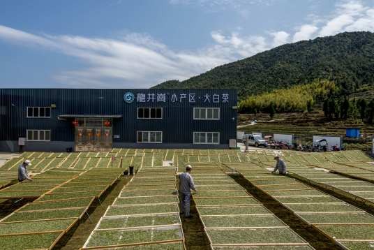 福建恒馨茶业有限公司