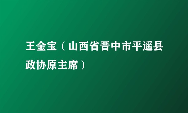 王金宝（山西省晋中市平遥县政协原主席）