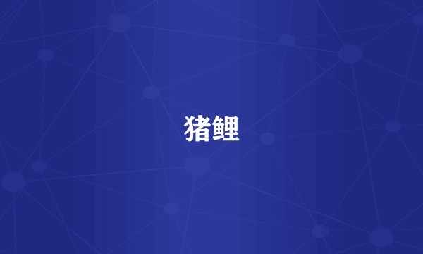 猪鲤