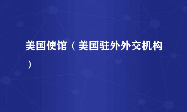 美国使馆（美国驻外外交机构）