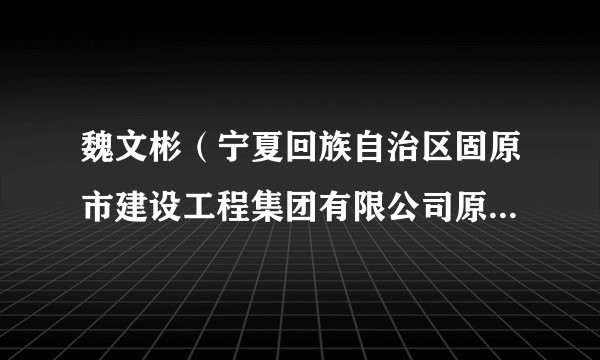 魏文彬（宁夏回族自治区固原市建设工程集团有限公司原总经理）