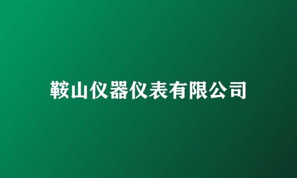 鞍山仪器仪表有限公司