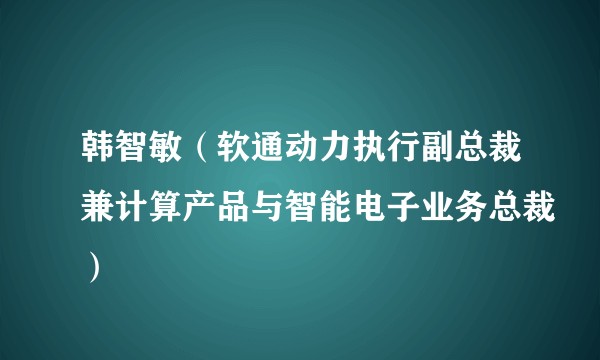 韩智敏（软通动力执行副总裁兼计算产品与智能电子业务总裁）