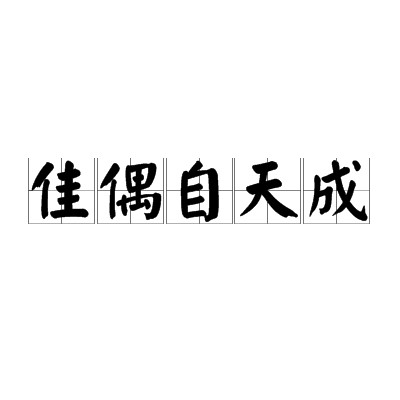 佳偶自天成（汉语成语）