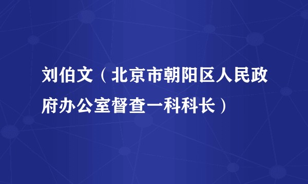 刘伯文（北京市朝阳区人民政府办公室督查一科科长）