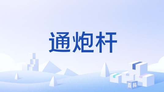 通炮杆