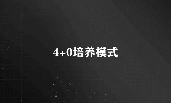 4+0培养模式