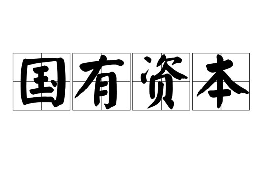 国有资本