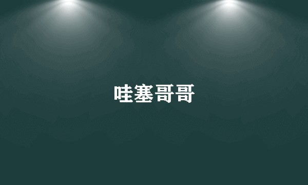 哇塞哥哥