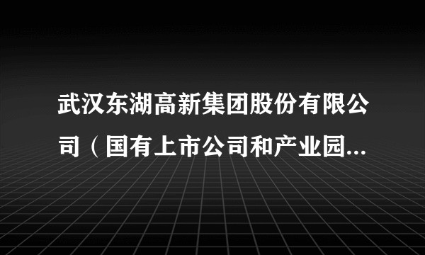 武汉东湖高新集团股份有限公司(国有上市公司和产业园区运营商、环保科技服务商)