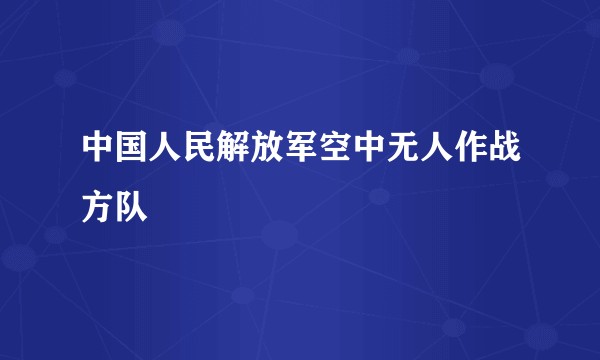 中国人民解放军空中无人作战方队