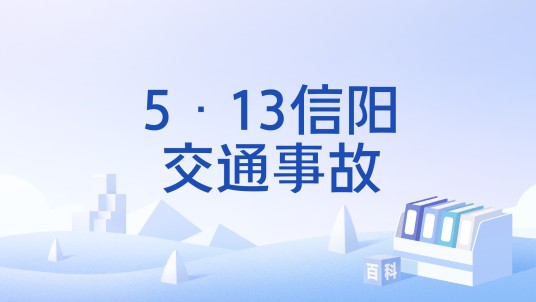 5·13信阳交通事故