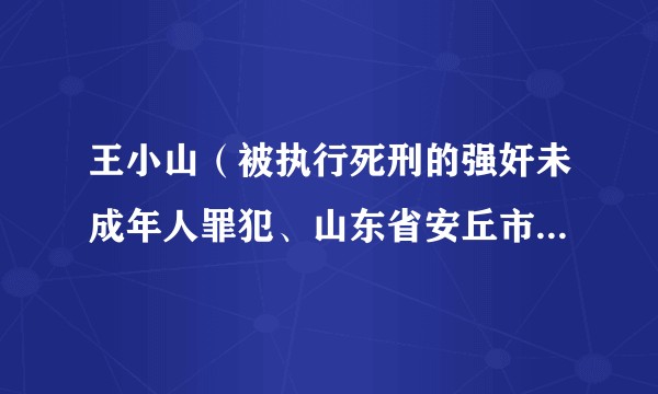 王小山（被执行死刑的强奸未成年人罪犯、山东省安丘市劳务人员）