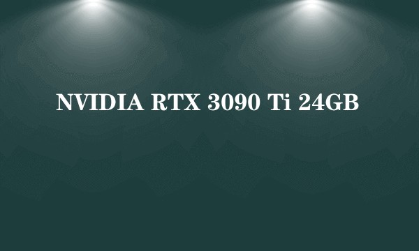 NVIDIA RTX 3090 Ti 24GB