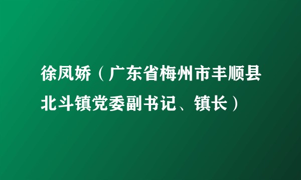徐凤娇（广东省梅州市丰顺县北斗镇党委副书记、镇长）
