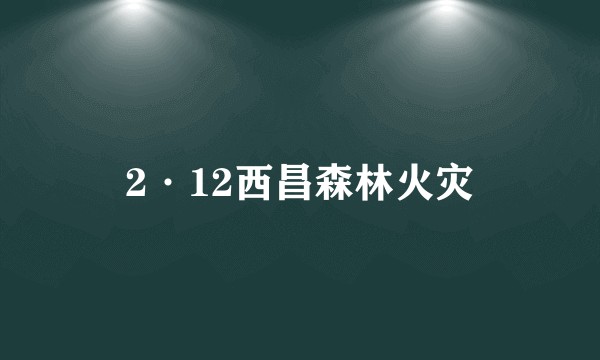 2·12西昌森林火灾