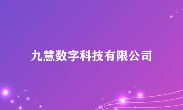 九慧数字科技有限公司