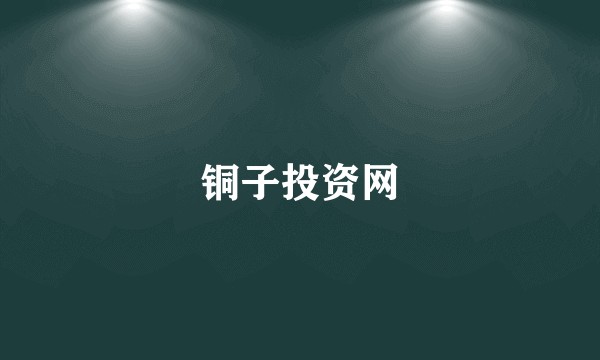 铜子投资网