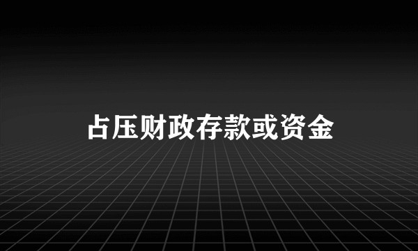 占压财政存款或资金