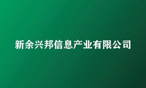 新余兴邦信息产业有限公司