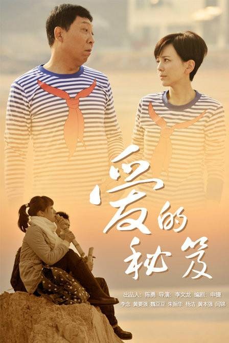 爱的秘笈(2012年李文龙导演电视剧)