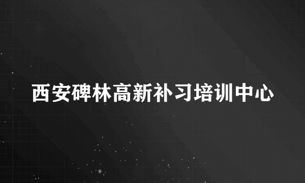 西安碑林高新补习培训中心